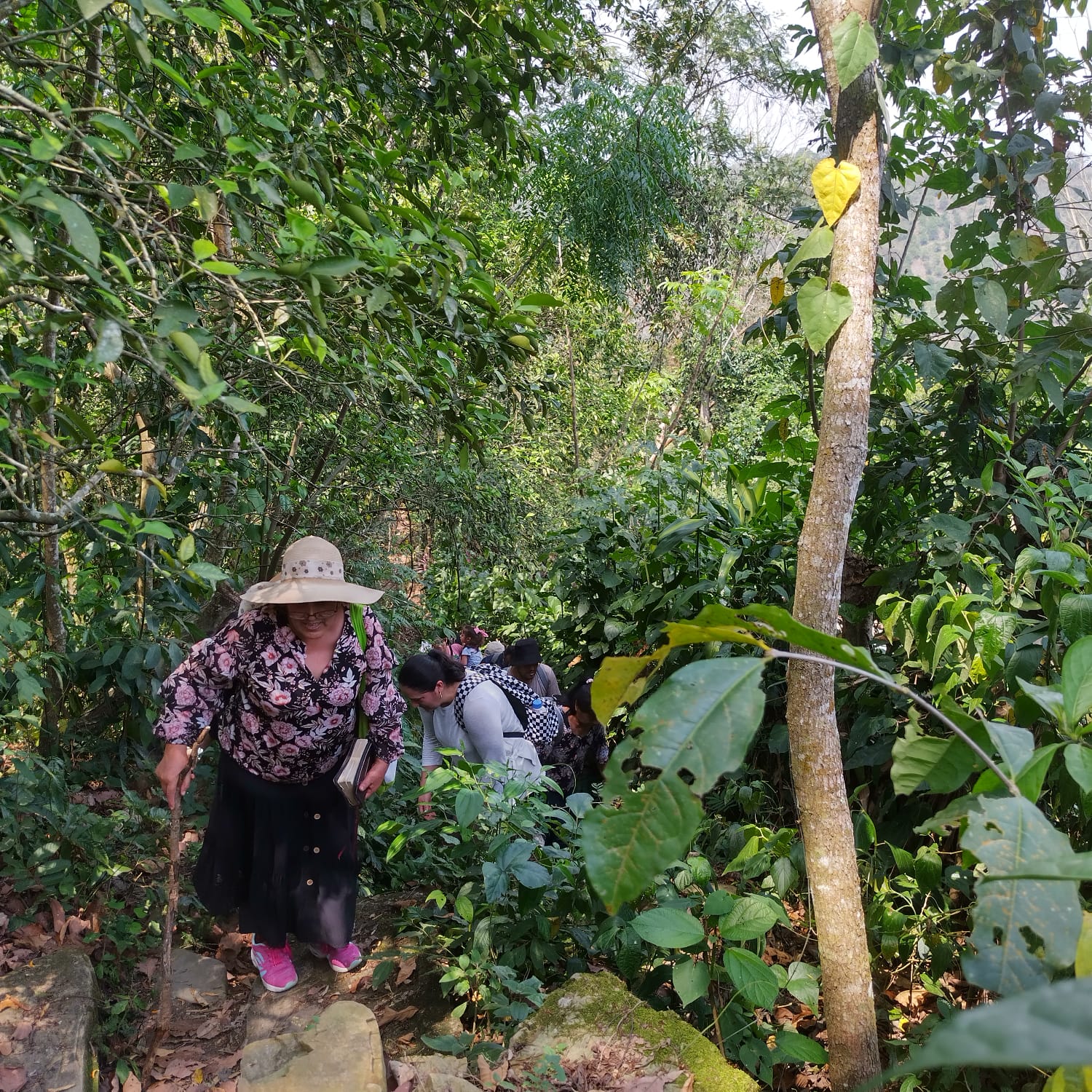 Tree Planting