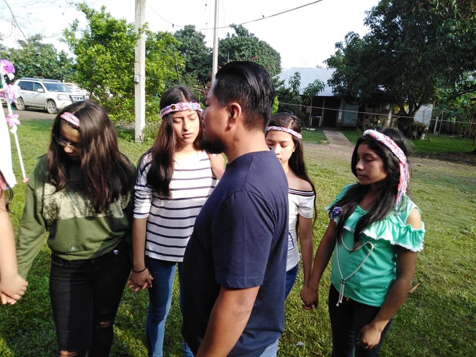 Tree Plantation